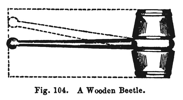 beetle_1859.jpg?w=640