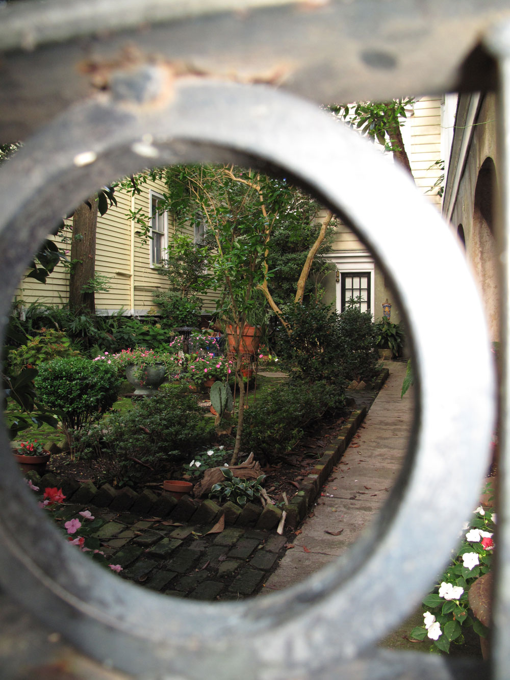 One of the hundreds of secret gardens you can spy while walking around the city.