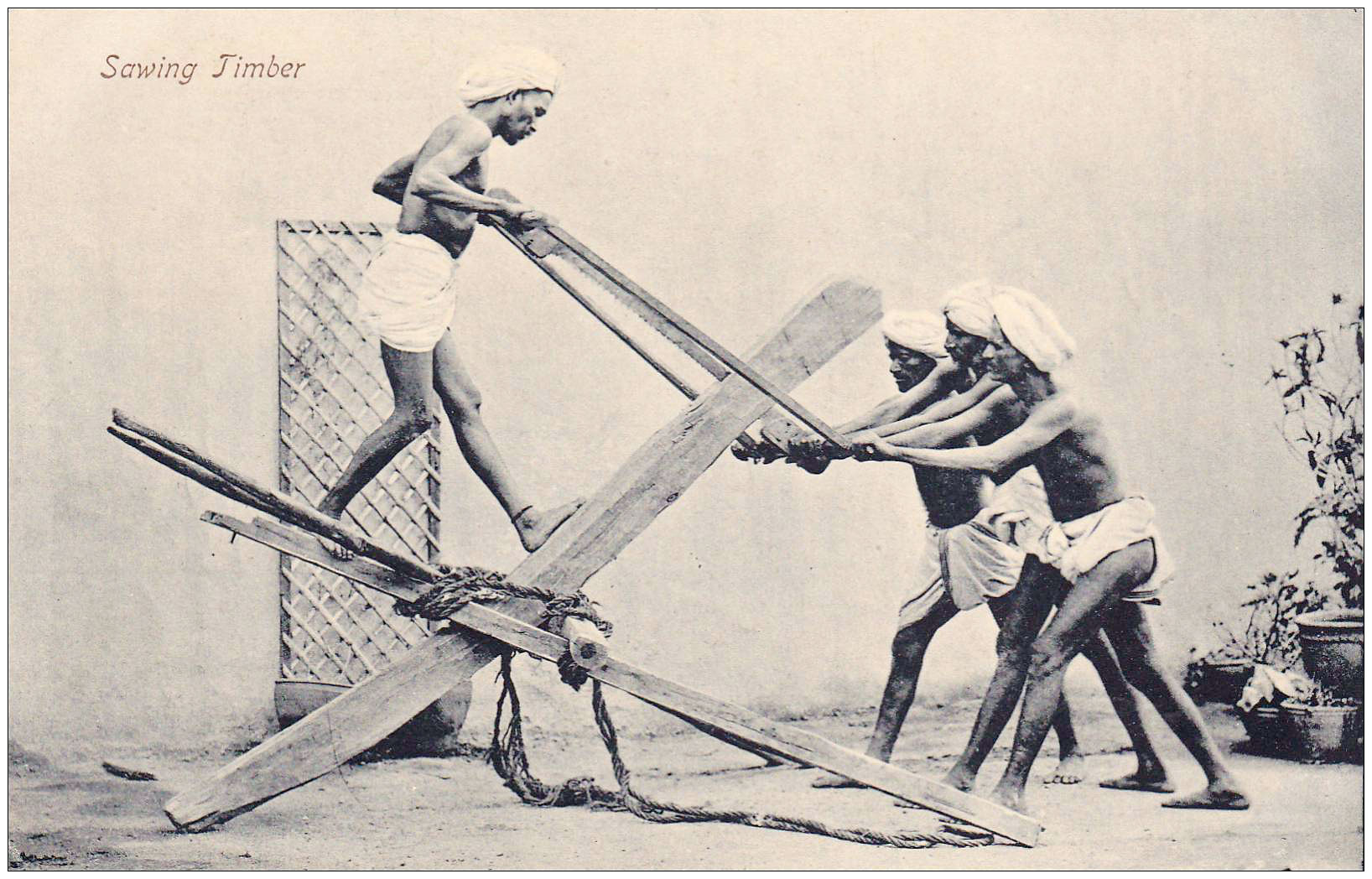 sawing_timber_postcard_india
