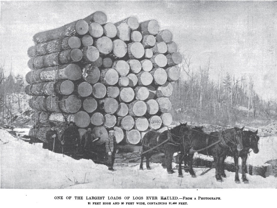 1878-logging