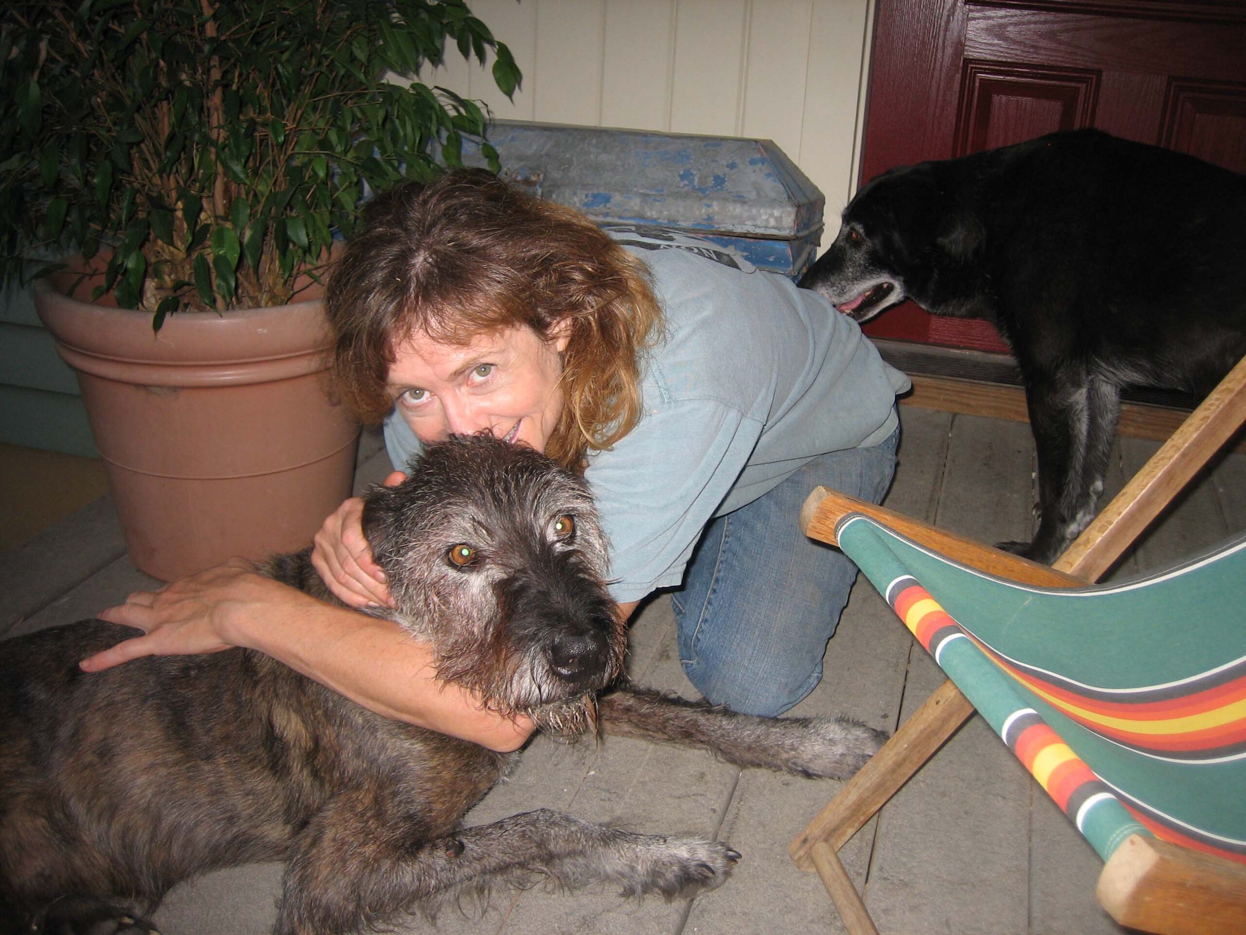 Nancy Hiller, Raising the Bar for Everyone - Lost Art Press